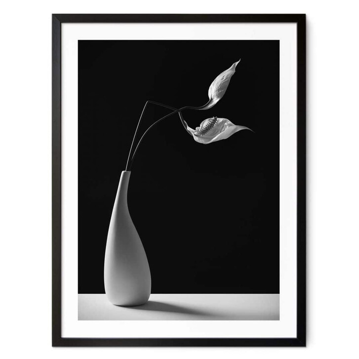 Poster Oveckova - Pflanzen in einer weissen Vase - WA349598