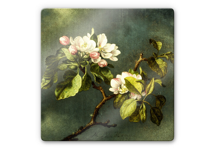 Glasbild Heade - Apfelblüten - WA252838