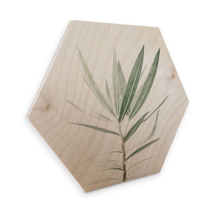 Hexagon - Holz Birke-Furnier Sisi & Seb - Oleander - WA297716