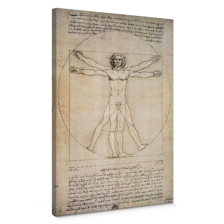 Leinwandbild da Vinci - Proportionszeichnung - WA147119