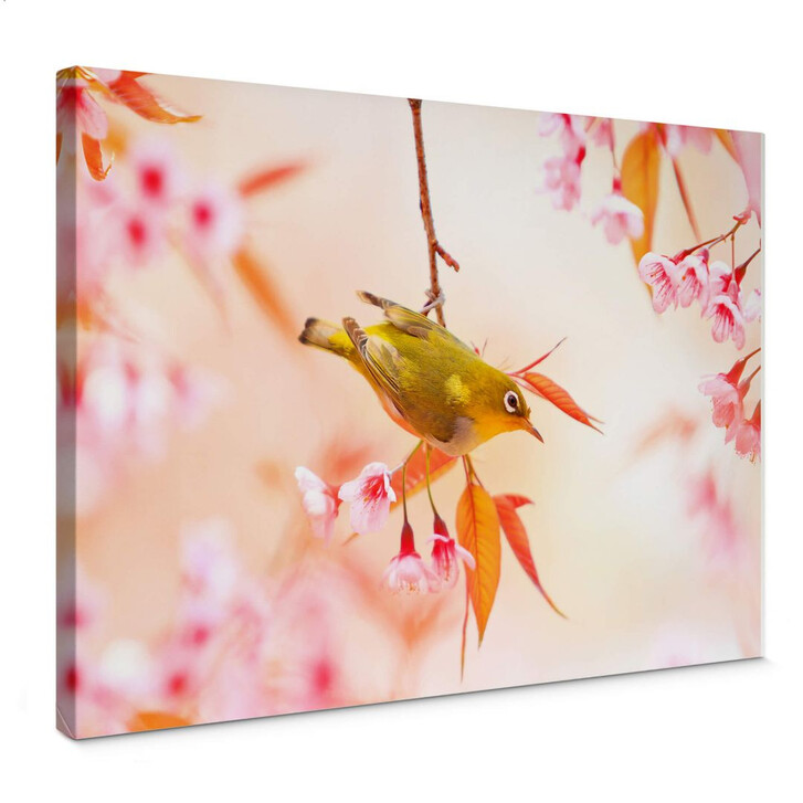 Leinwandbild Vogelgezwitscher in der Kirschblüte - WA146515
