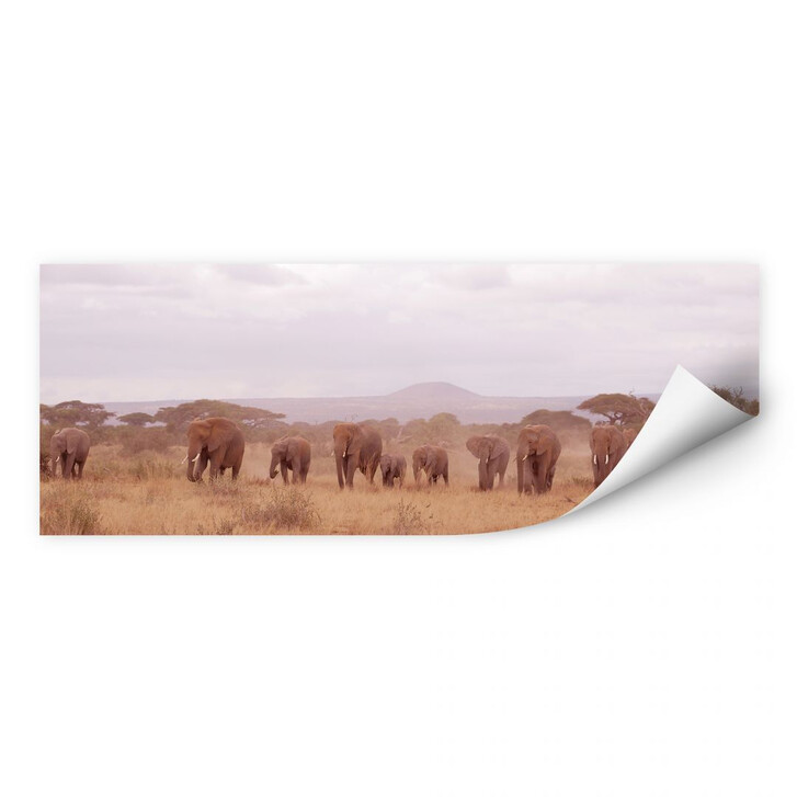 Wallprint Elefantenherde - WA183475