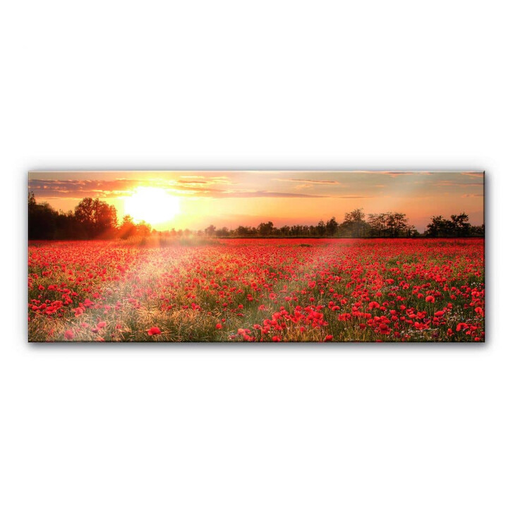 Acrylglasbild Mohnfeld im Sonnenuntergang - Panorama - WA109899