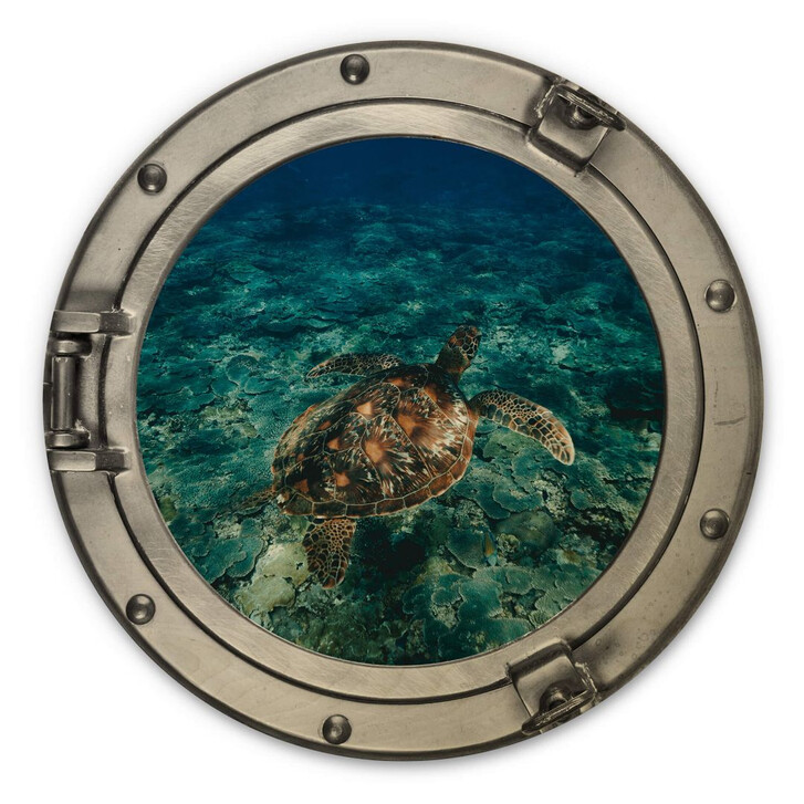 Holzbild 3D Optik - Schildkröte von oben - Rund - WA309613