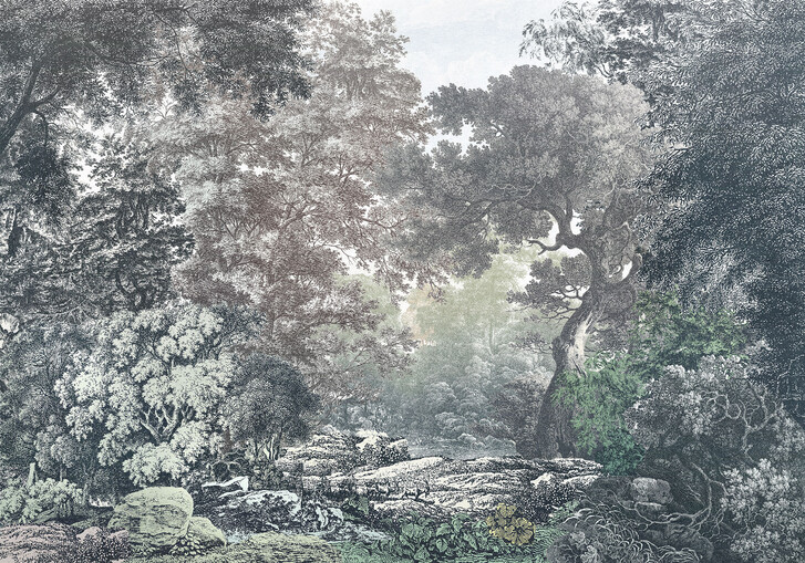 Digitaldrucktapete Fairytale Forest - KOR4-060