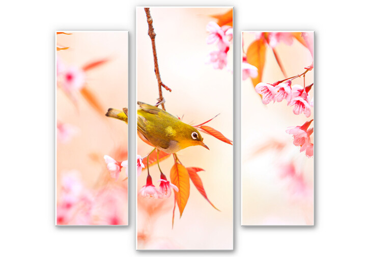 Wandbild Vogelgezwitscher in der Kirschblüte (3-teilig) - WA196058