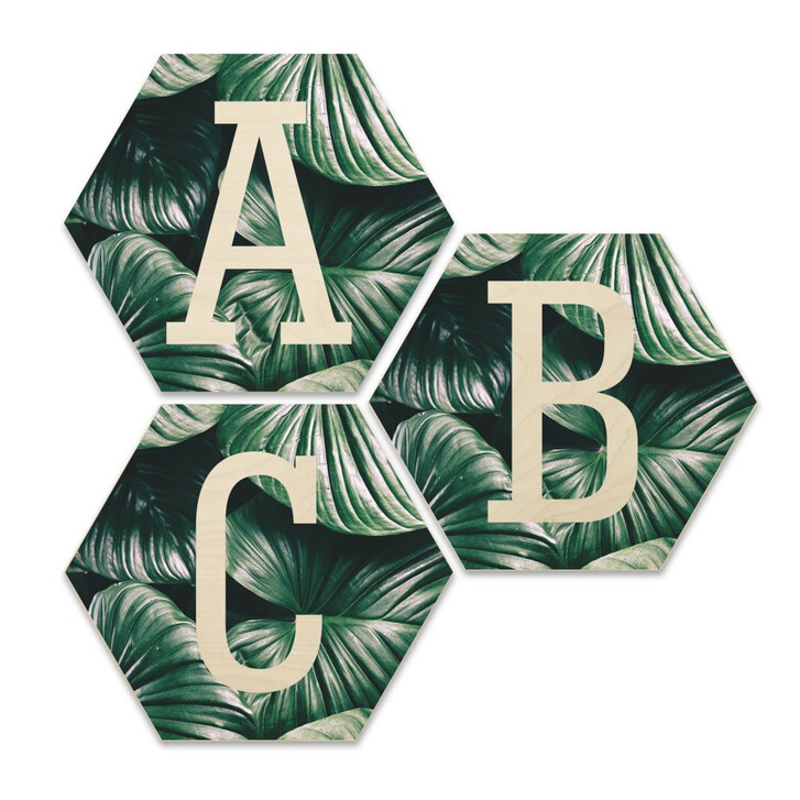 Hexagon Buchstaben - Holz Birke-Furnier - Urban Jungle - WA233342