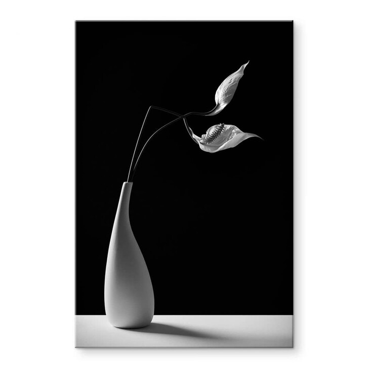 Acrylglasbild Oveckova - Pflanzen in einer weissen Vase - WA344514