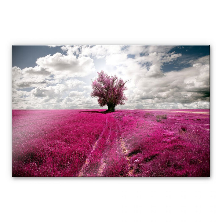 Acrylglasbild The Lonely Tree - WA111350