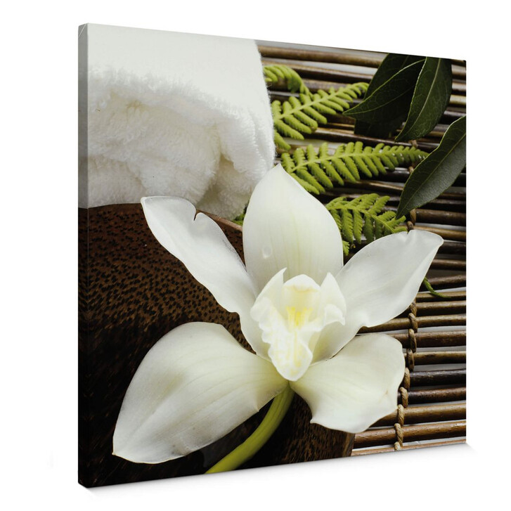 Leinwandbild Wellness Orchidee - Quadratisch - WA307195