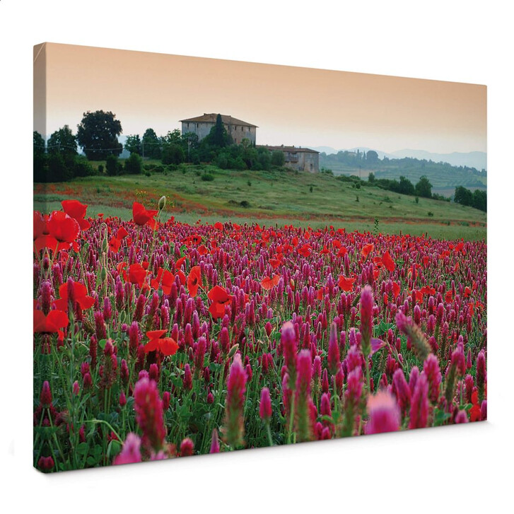 Leinwandbild Blumenwiese Toskana - WA136915