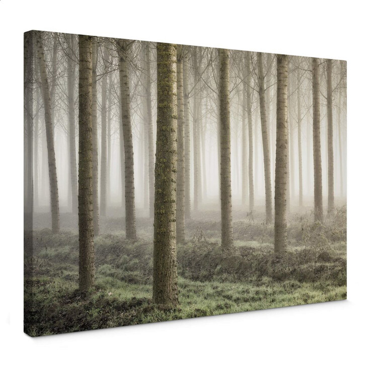 Leinwandbild Carozzi - Märchenhafter Wald im Morgennebel - WA347064