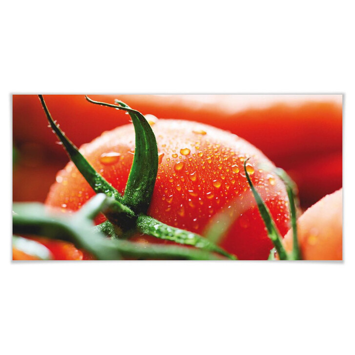 Poster Fresh Tomato - Panorama - WA160763