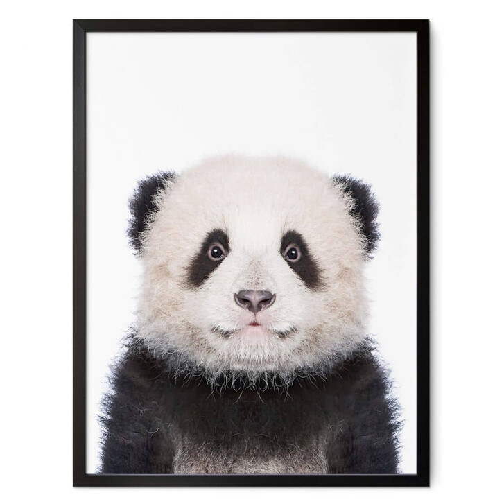 Poster Sisi & Seb - Baby Panda - WA356091