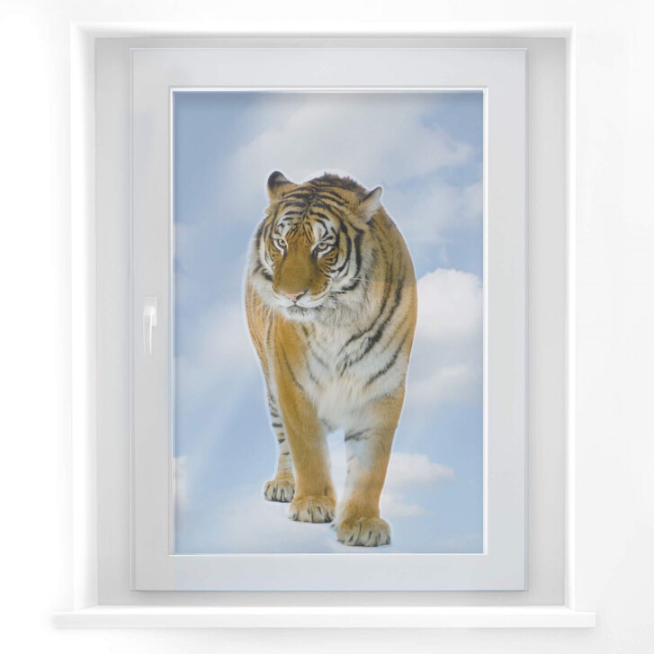 Fensterbild Real Tiger - WA117677