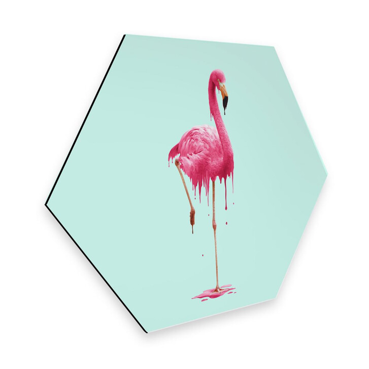 Hexagon - Alu-Dibond Loose - Melting Flamingo - WA273179