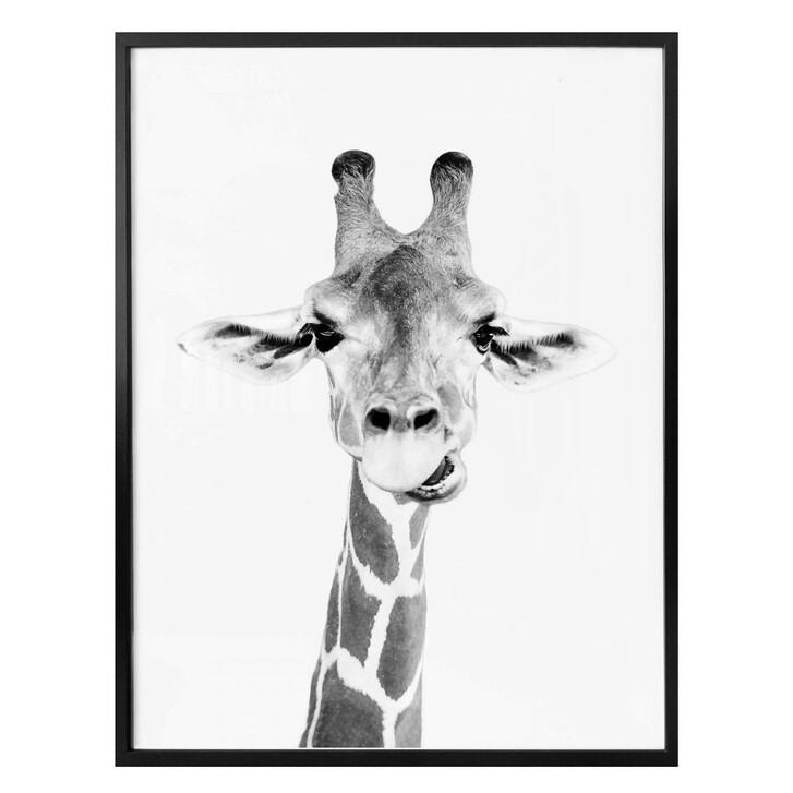 Poster Sisi & Seb - Happy Giraffe - WA266211