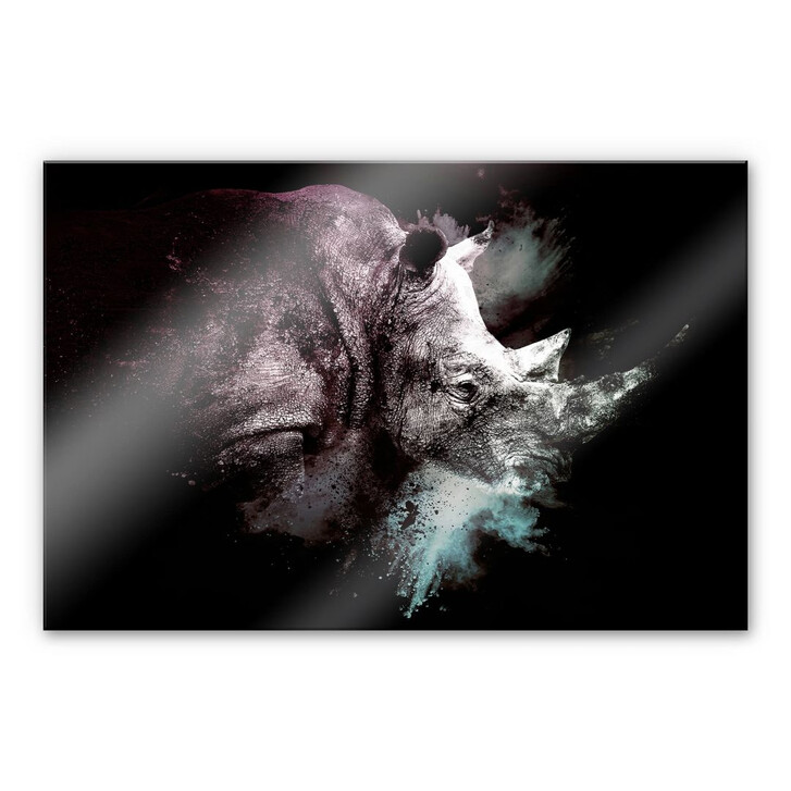 Acrylglasbild Hugonnard - Wild Explosion: Nashorn - WA269484