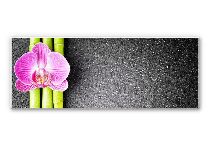 Wandbild Orchid and Bamboo - Panorama (horizontal) - WA195035