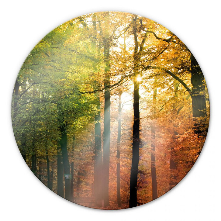 Glasbild Goldener Herbst - rund - WA123389