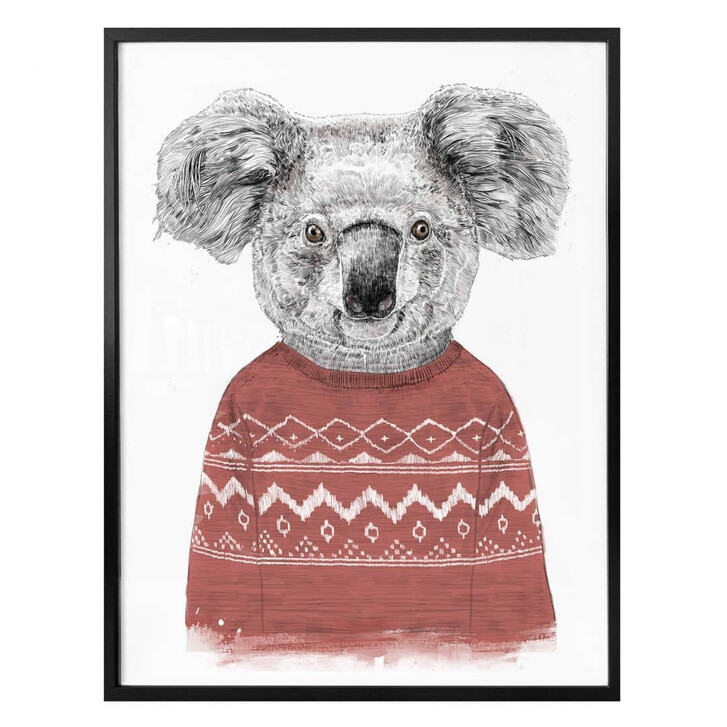 Poster Solti - Koala im Winter - WA318406