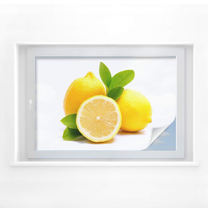 Sichtschutzfolie Lemons - WA175643