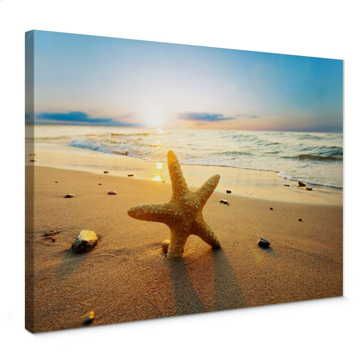 Leinwandbild Seestern im Sand - WA145100