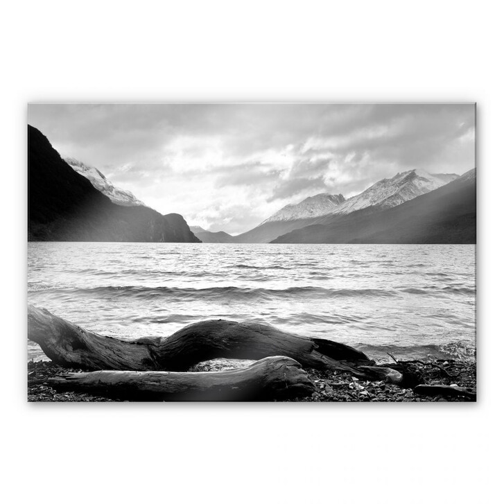 Acrylglasbild Log and Lake - WA109557