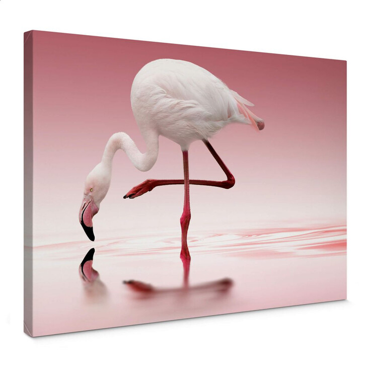 Leinwandbild Reindl - Pink Flamingo - WA144290