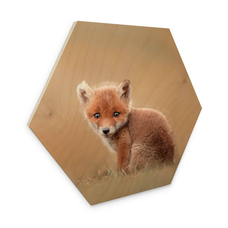 Hexagon - Holz van Duijn - Baby Fuchs - WA321047