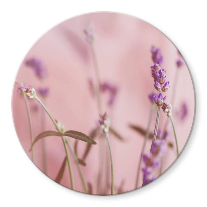 Glasbild Zarter Lavendel - Rund - WA353019