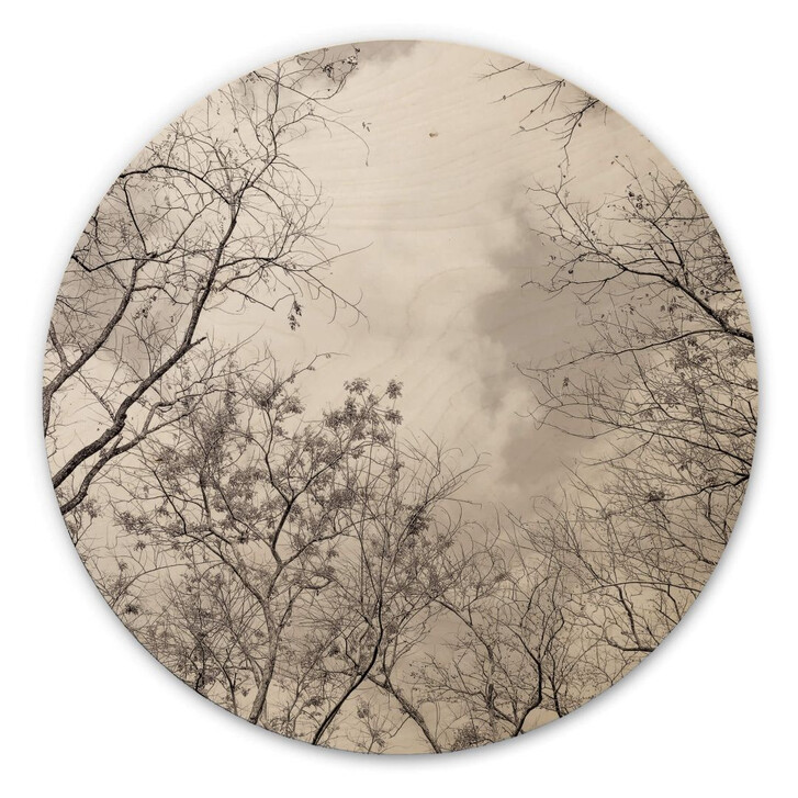 Holzbild Baumkronen im Himmel - Rund - WA306333