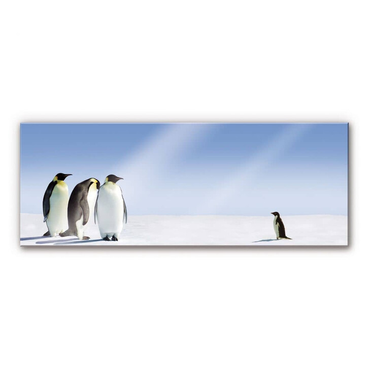 Acrylglasbild Penguin - WA110504