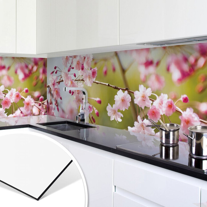 Küchenrückwand - Alu-Dibond- Cherry Blossoms - WA134615
