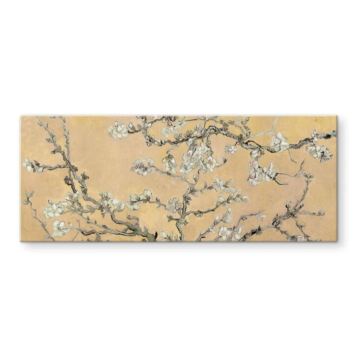 Glasbild van Gogh - Mandelblüte Creme - Panorama - WA315425