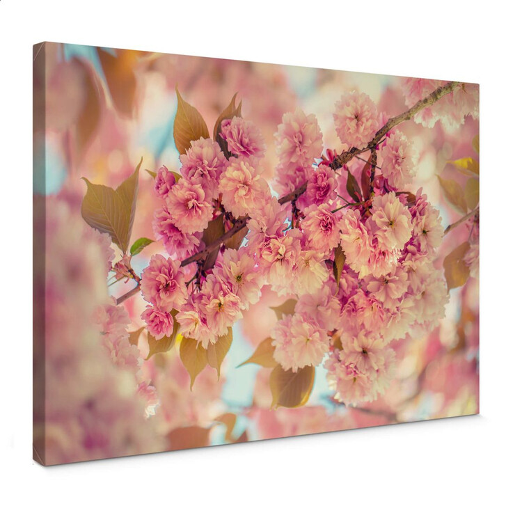 Leinwandbild Delgado - Kirschblüten - WA275513