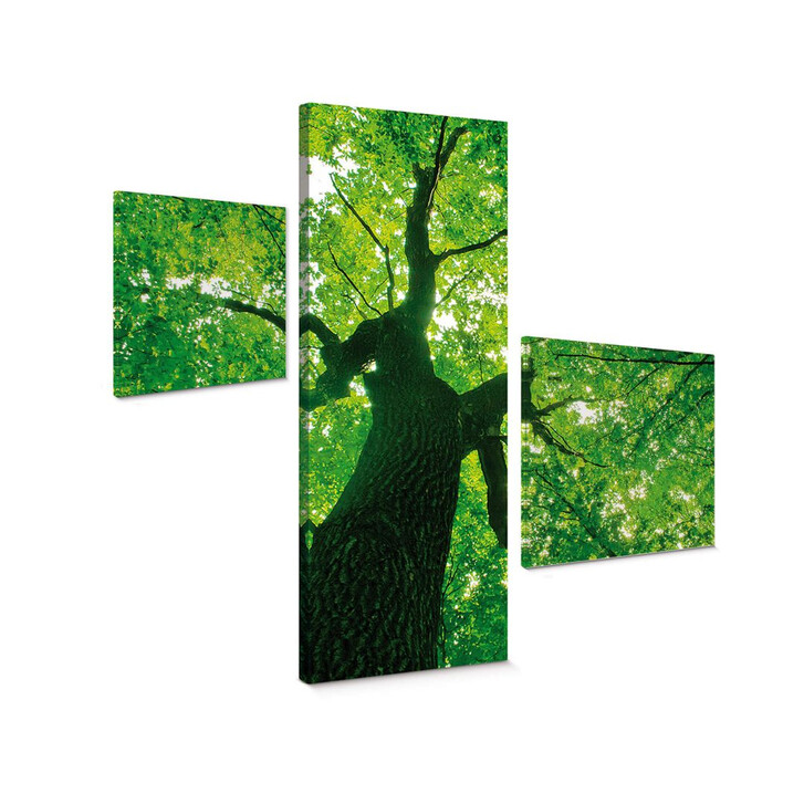 Leinwandbild Under the Trees (3-teilig) - WA146370