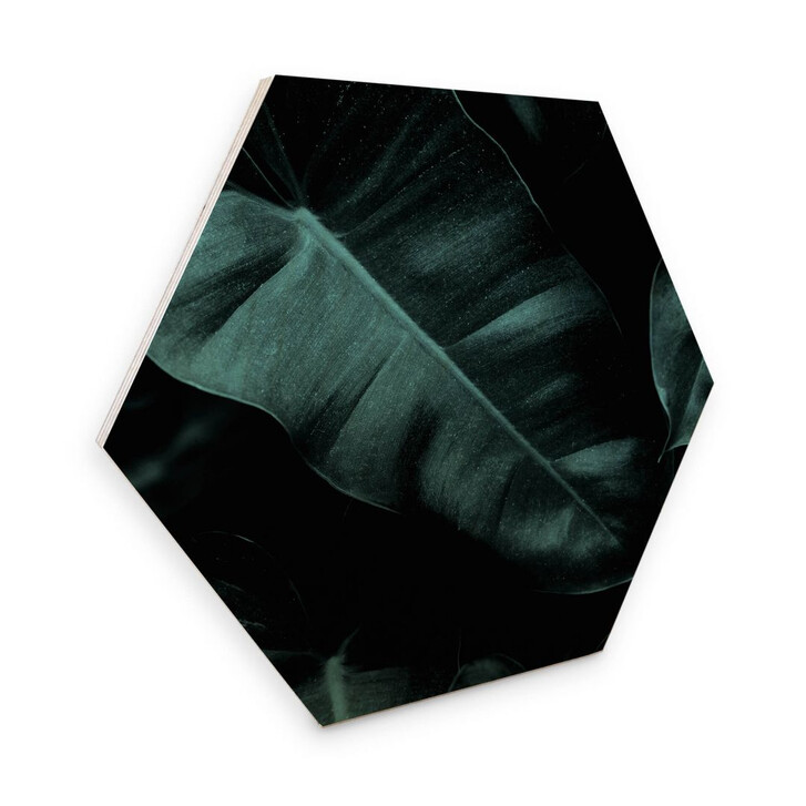 Hexagon - Holz Kubistika - Jungle - WA302682
