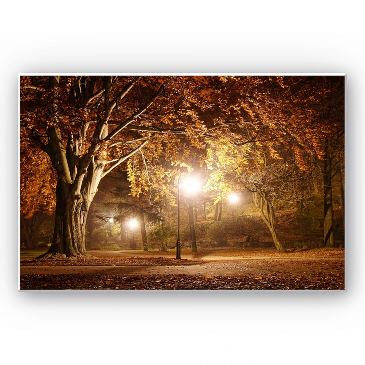 Hartschaumbild Herbst im Park - WA130083