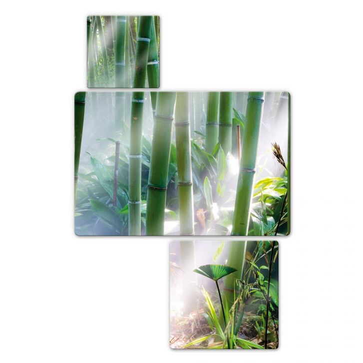 Glasbild Bamboo Forest (3-teilig) - WA120648