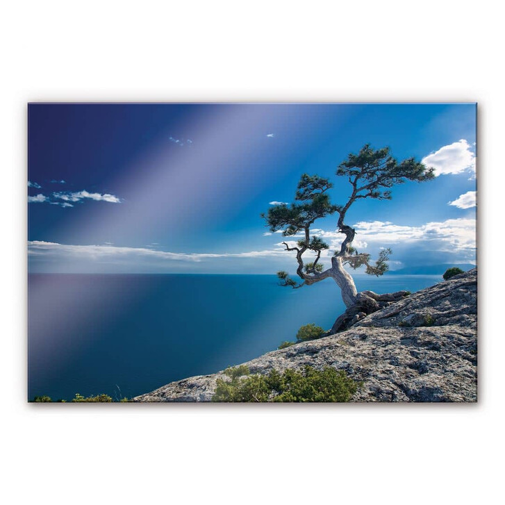 Acrylglasbild Sea and Tree - WA110956