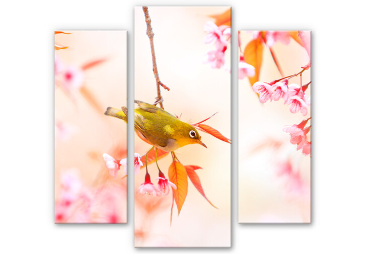 Acrylglasbild Vogelgezwitscher in der Kirschblüte (3-teilig) - WA111679