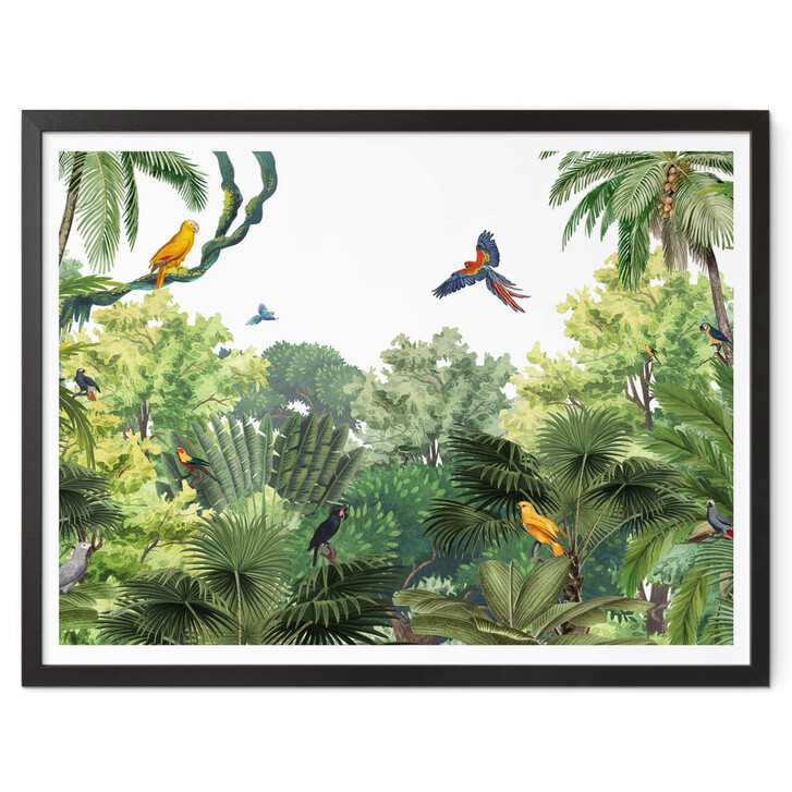 Poster Kikki Belle - Tropische Vögel - WA349032