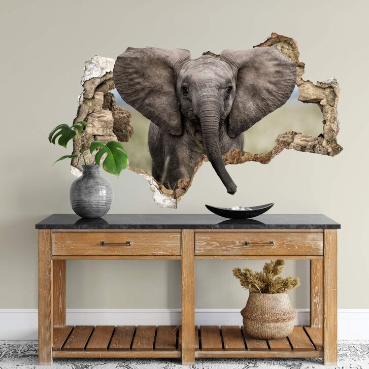 3D Wandtattoo van Duijn - Baby Elefant - WA307938