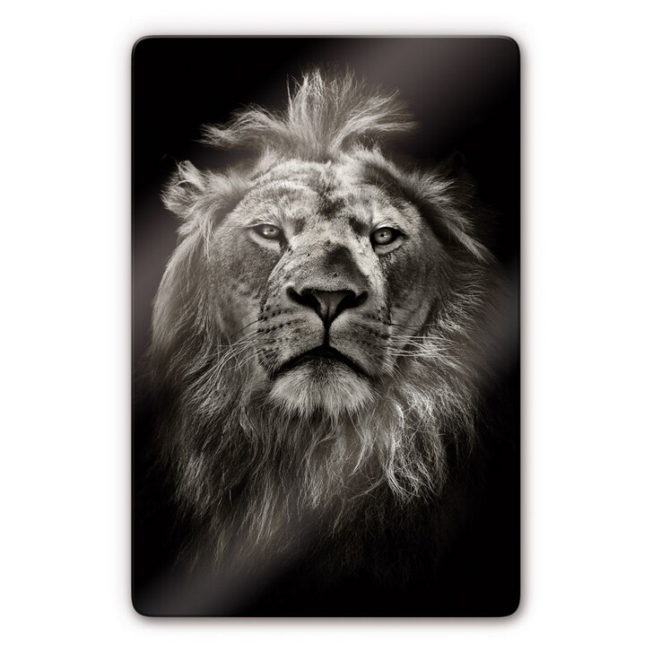 Glasbild Lion - WA124890