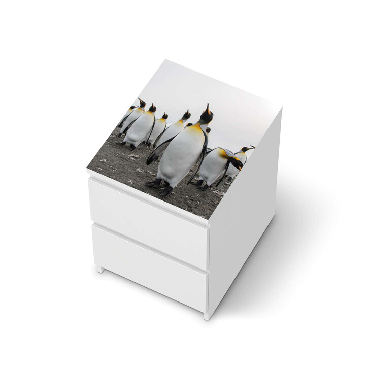Möbelfolie IKEA Malm Kommode 2 Schubladen oben - Penguin Family - CR116328