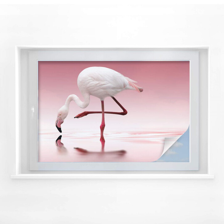 Sichtschutz Reindl - Pink Flamingo - WA173670