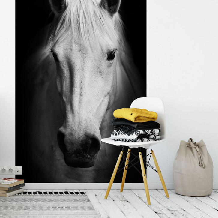 Fototapete White Horse - 144x260cm - WA227802