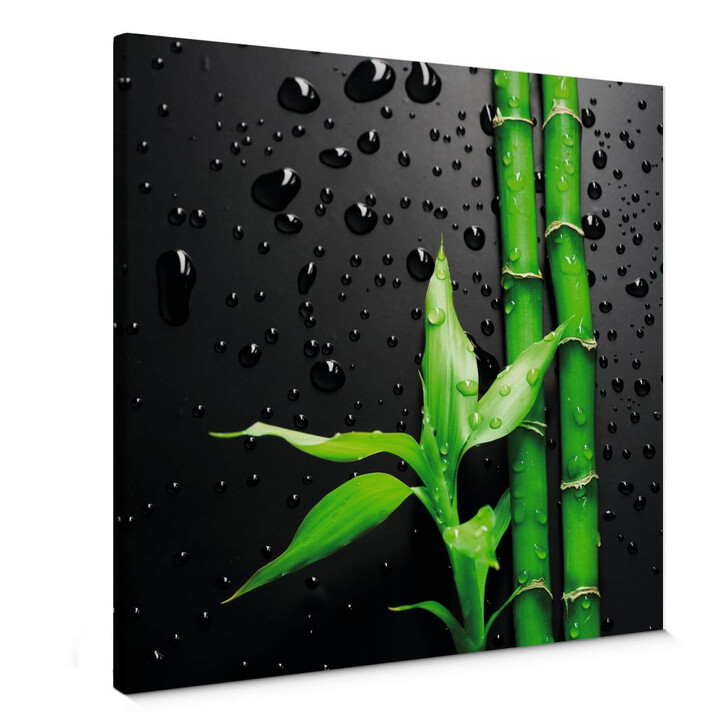 Leinwandbild Bamboo Over Black - quadratisch - WA136016