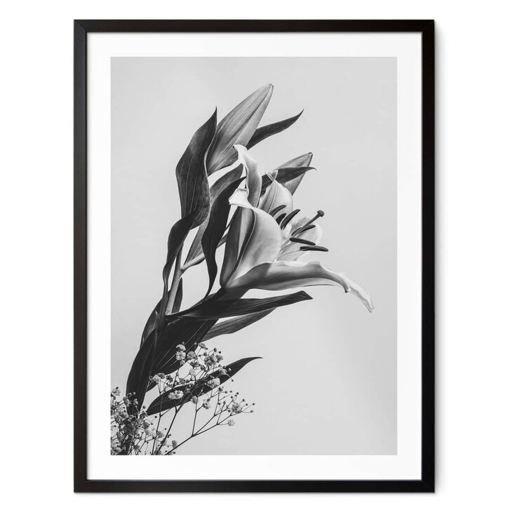 Poster Jo - Zauberhafter Lilie schwarz-weiss - WA355263